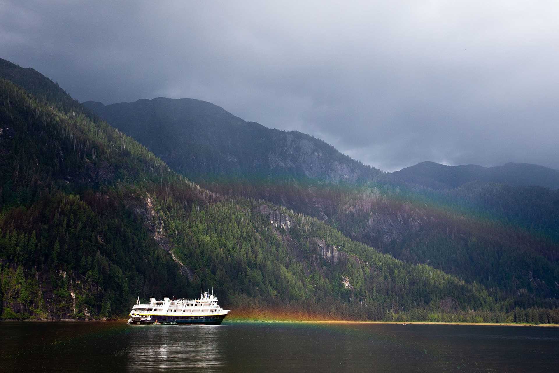 national geographic sea lion with rainbow in background