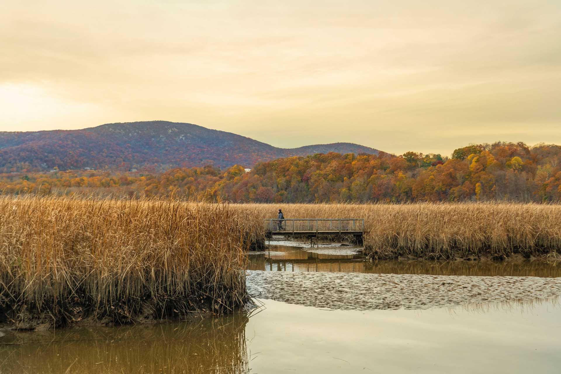 Constitution Marsh Audubon Center-330_1.jpg